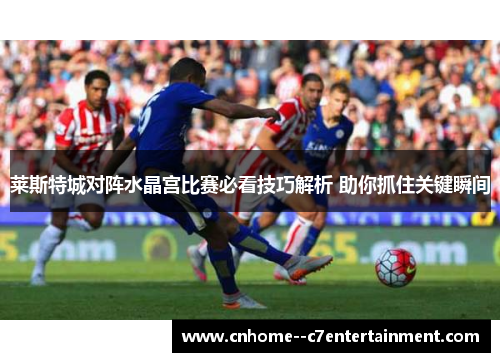 莱斯特城对阵水晶宫比赛必看技巧解析 助你抓住关键瞬间