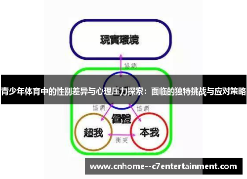 青少年体育中的性别差异与心理压力探索：面临的独特挑战与应对策略