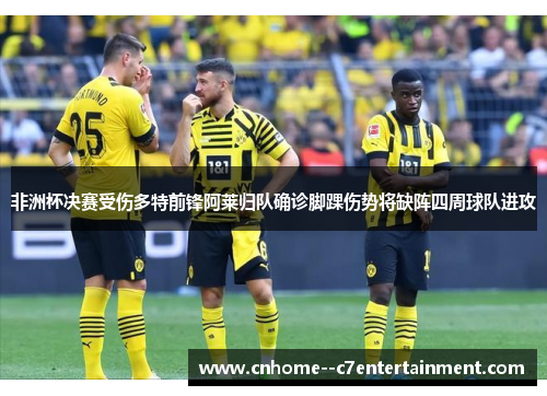 非洲杯决赛受伤多特前锋阿莱归队确诊脚踝伤势将缺阵四周球队进攻