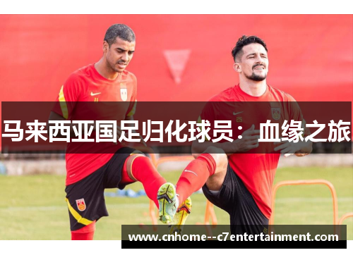 马来西亚国足归化球员：血缘之旅