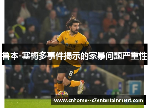鲁本-塞梅多事件揭示的家暴问题严重性